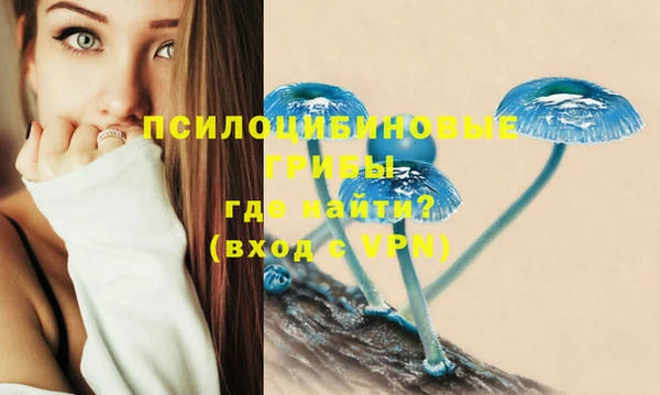 МДМА Алексин