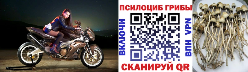 купить закладку  Углич  Псилоцибиновые грибы ЛСД 